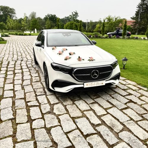 Wynajem luksusowego samochodu Enzo Cars